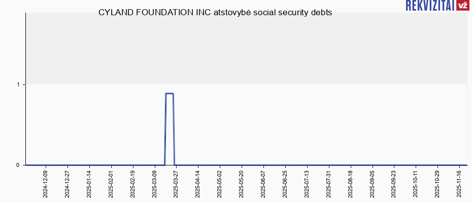 CYLAND FOUNDATION INC atstovybė social security debts