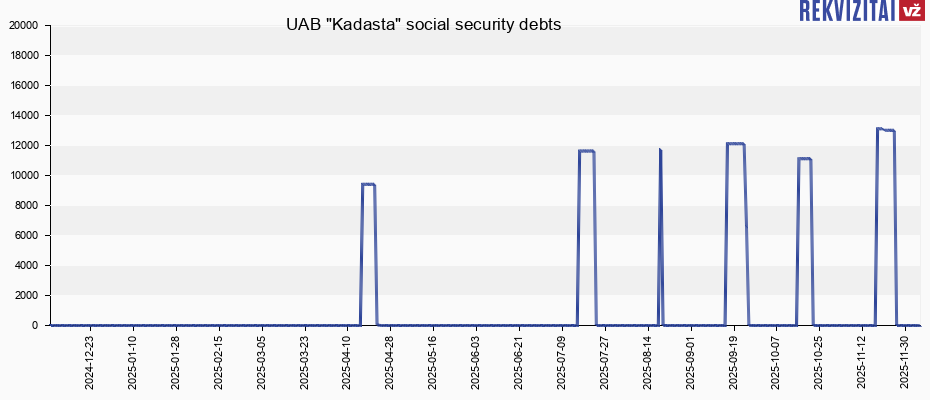 UAB "Kadasta" social security debts