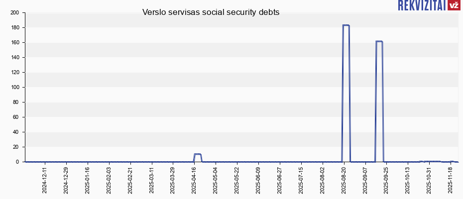 Verslo servisas social security debts