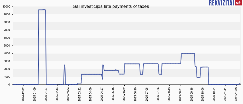 Gal investicijos late payments of taxes