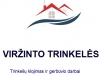 Aivaro Viržinto individuali veikla 