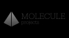 Molecule projects, MB 