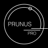 Prunus pro, MB 