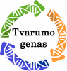 Tvarumo genas, VšĮ 