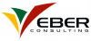 VEBER CONSULTING, MB 