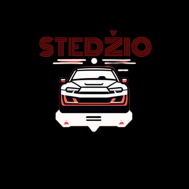 Stedžio vadovas. Rekvizitai.lt