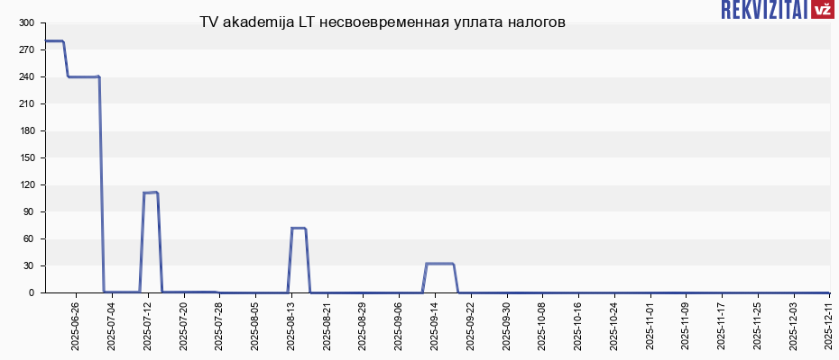 TV akademija LT несвоевременная уплата налогов