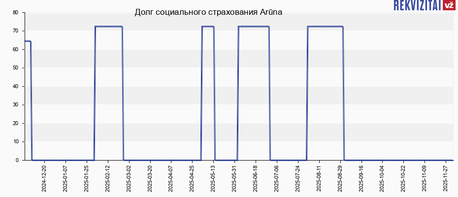 Долг социального страхования Arūna