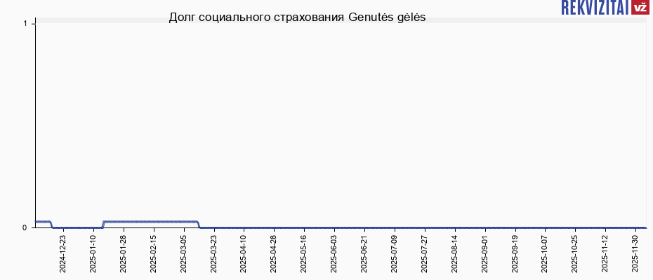 Долг социального страхования Genutės gėlės
