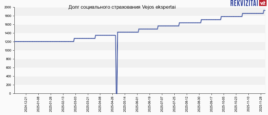 Долг социального страхования Vejos ekspertai
