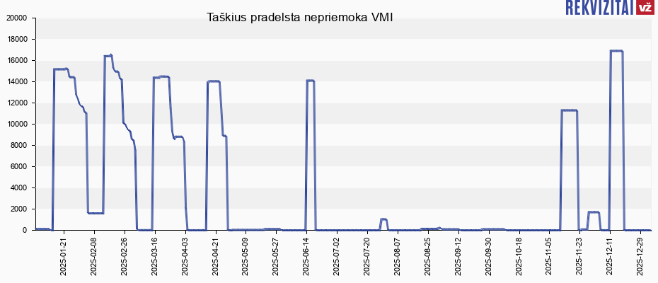 Taškius pradelsta nepriemoka VMI